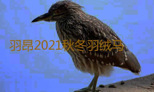 羽昂2021秋冬羽绒马甲女短款轻薄背心显瘦保暖羽绒服内胆内穿坎肩