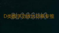 D类数字功放大功率专推单音圈双音圈10寸12寸喇叭无源低音炮功放